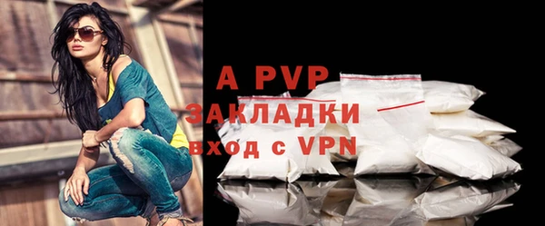 стаф Беломорск