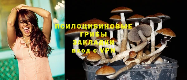стаф Беломорск