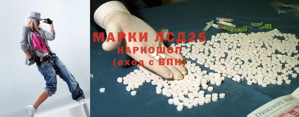 стаф Сясьстрой
