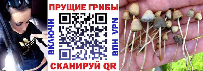 Псилоцибиновые грибы мухоморы  Валуйки 